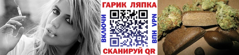 что такое   Нижняя Салда  ГАШ Изолятор 