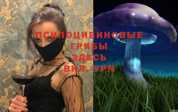 2c-b Балахна