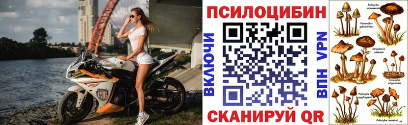 Галлюциногенные грибы Psilocybine cubensis  Нижняя Салда 