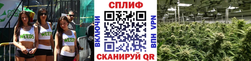Каннабис MAZAR Нижняя Салда